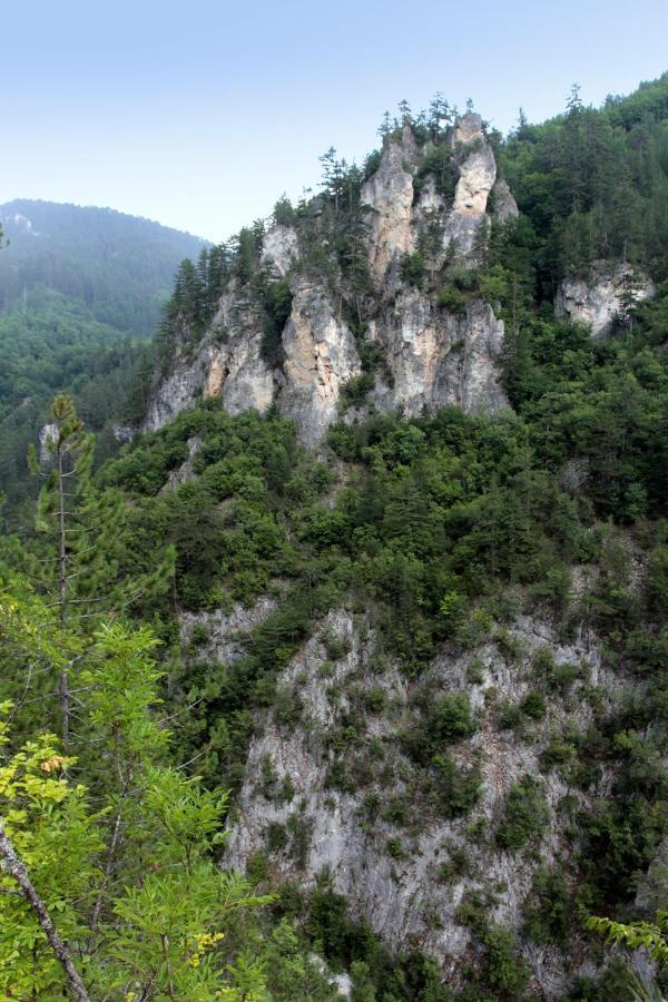 Къща Край Реката - Триград エクステリア 写真